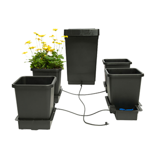 AutoPot System Image with Yellow Flowers