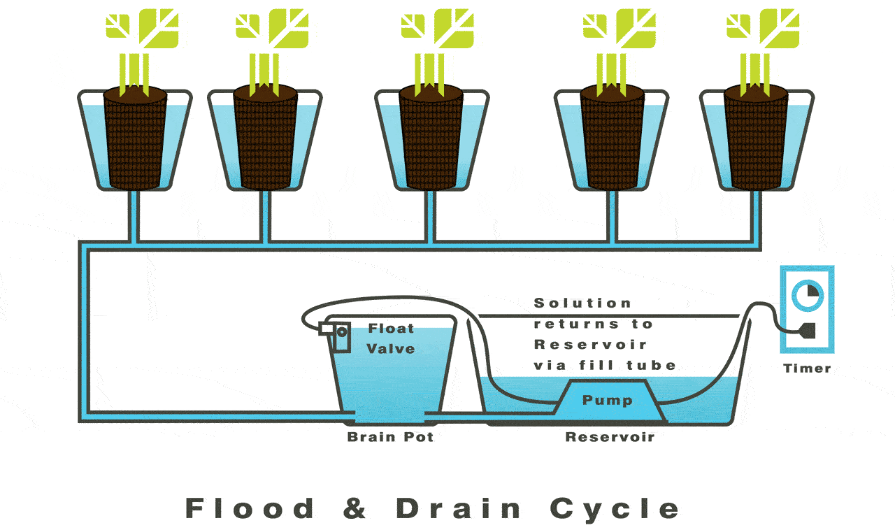 Maximise your flood and drain!