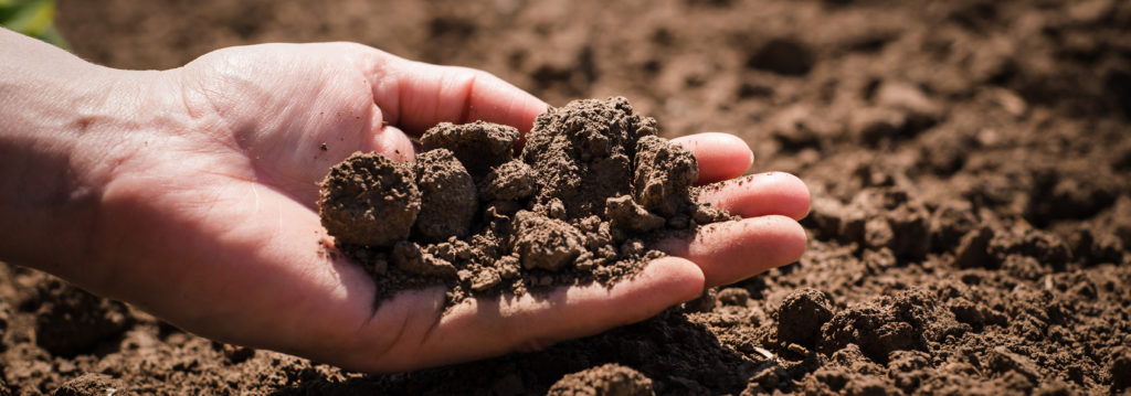 soil_hands_dirt