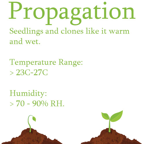 Optimal environmental temperature ranges through a plants propagation stage
