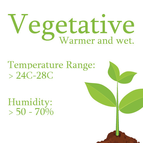 Optimal environment through a plant's vegetative growth period