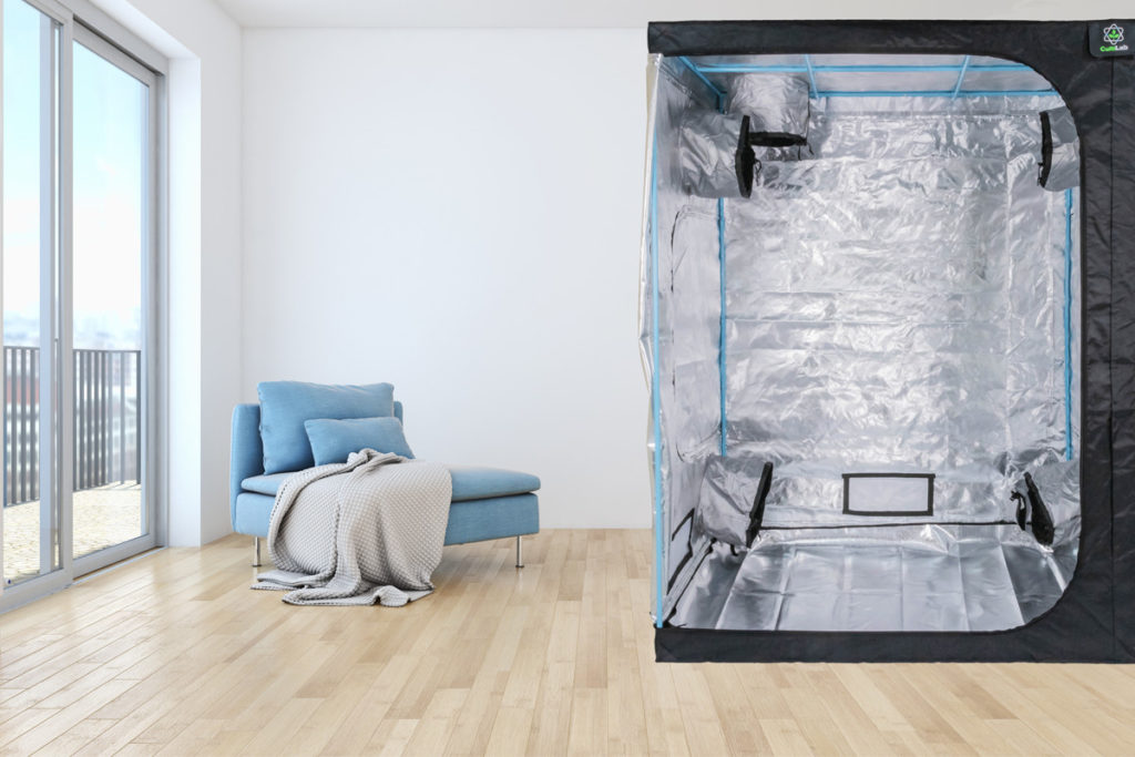 Grow Tent in a fashionable, modern apartment