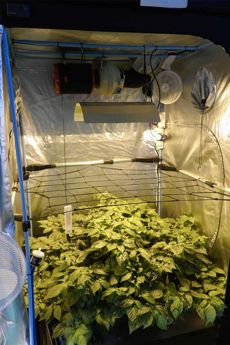 Set Up Complete Grow Tent 600w Grow Light Fan 1.2 Feeds Coco Pots Hydroponics 