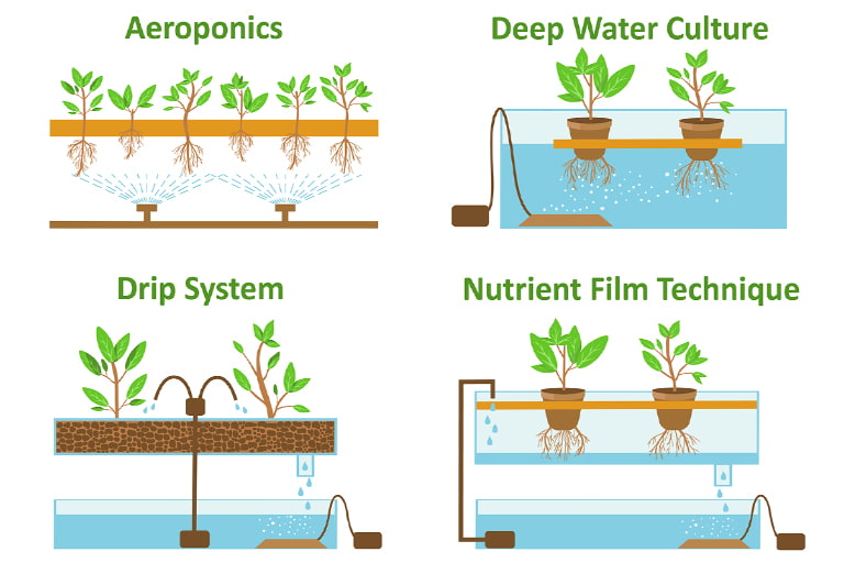 Aeroponics systems comparisons with Deep Water Culture, Drip Systems and NFT (Nutrient Film Technique) 