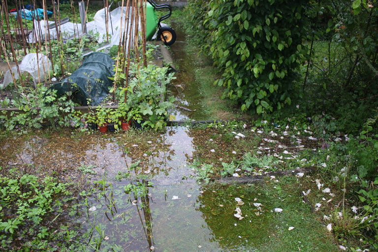 Flooded Garden image