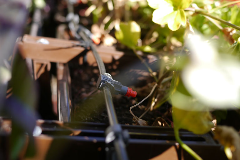 Image of a water saving pressure compensating dripper irrigating directly to the soil at the base of a plant