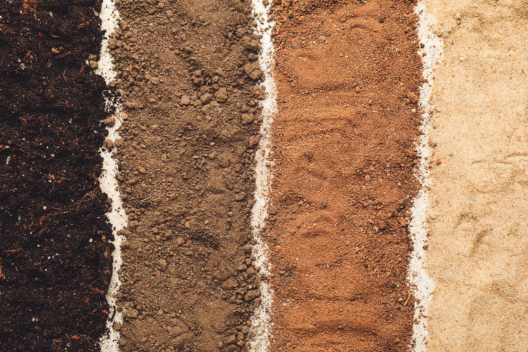 Different types of soil laid out side-by-side