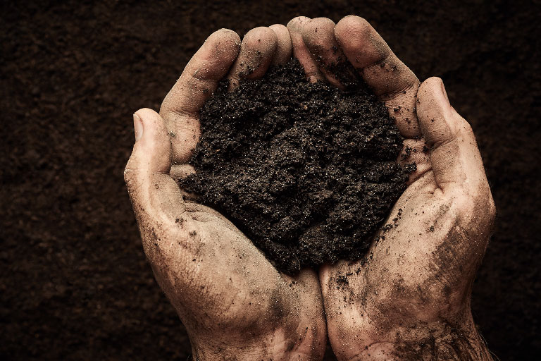 Mans hand holding a good quality type of soil