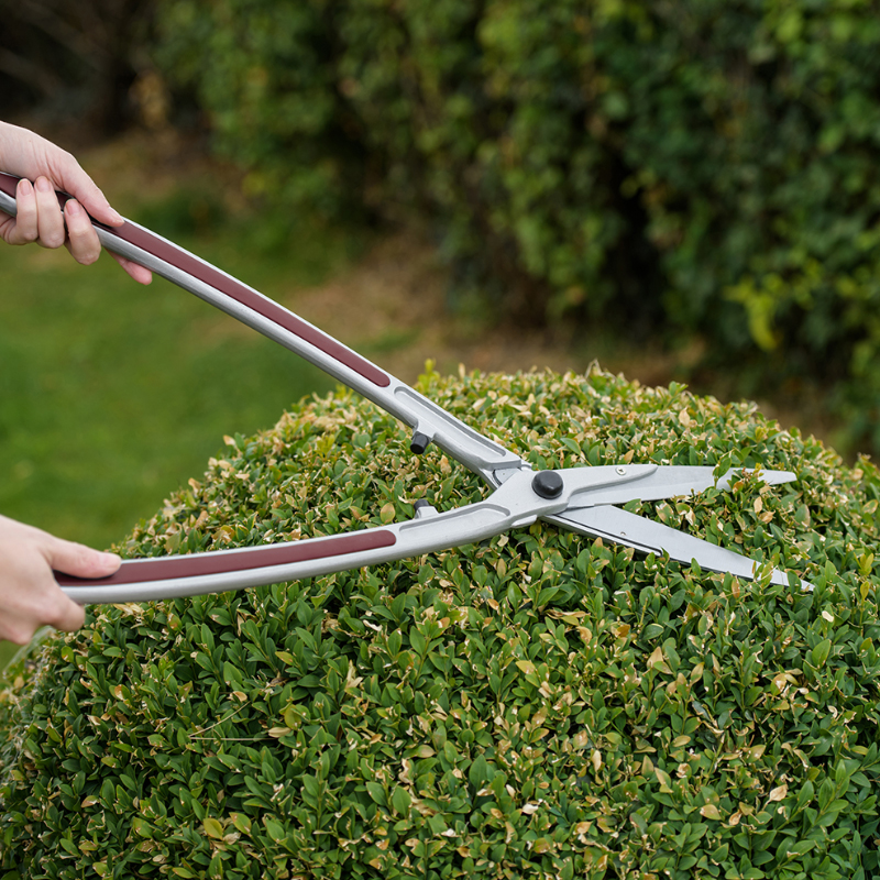 Kent & Stowe lightweight precision hedge shears clipping box hedging - jobs to do in spring