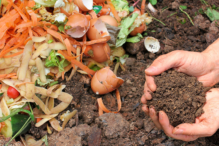 Example of what ready to use compost looks like. 