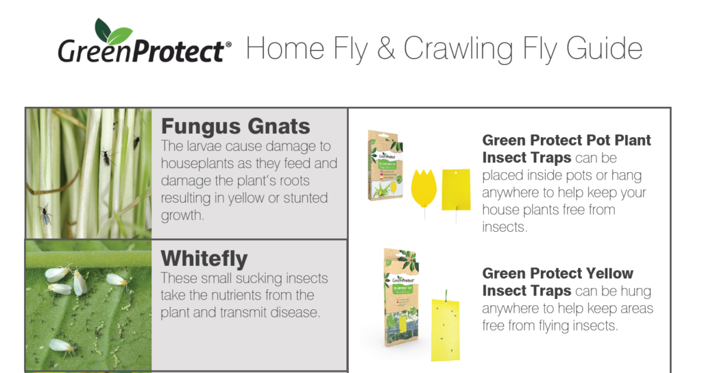Green Protect Pest Identification Guide