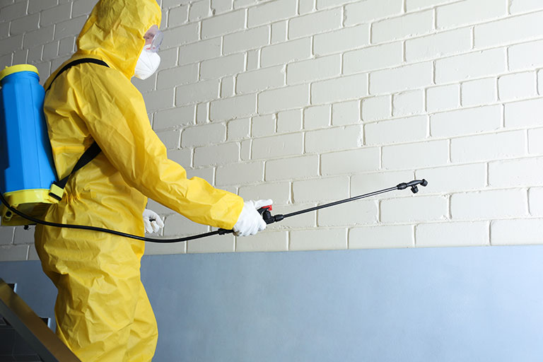 Man spraying a wall for pest infestation