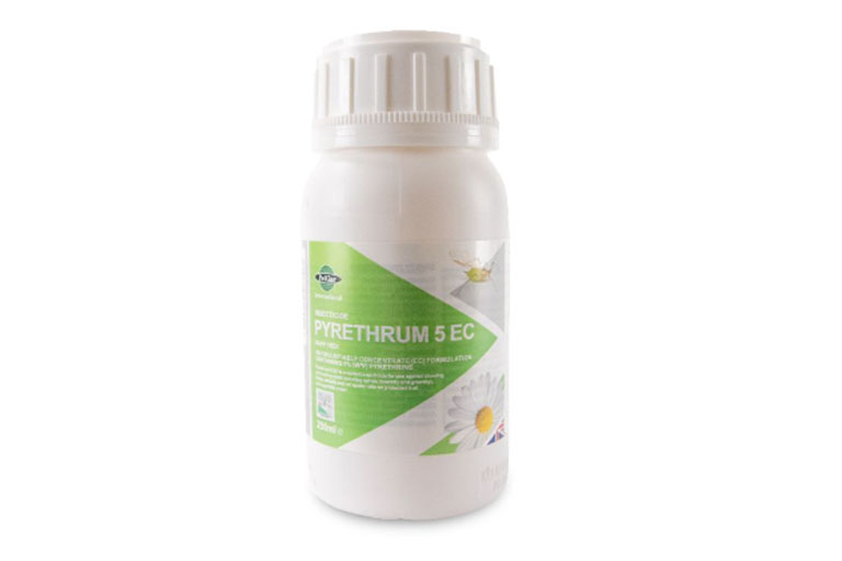 Pyrethrum 5 EC Bottle
