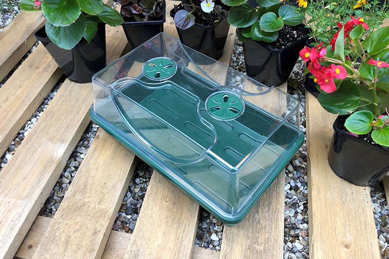 UpYouGrow propagator on a wooden pallet surrounded by potted plants