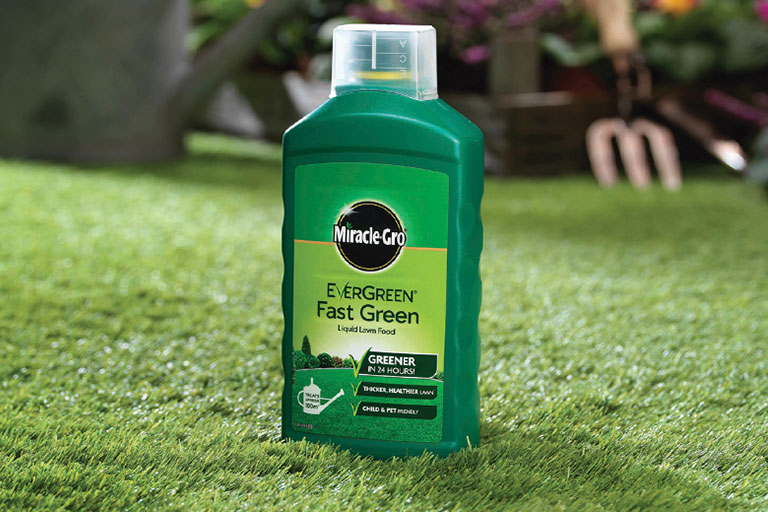 Miracle-Gro Evergreen Fast Green