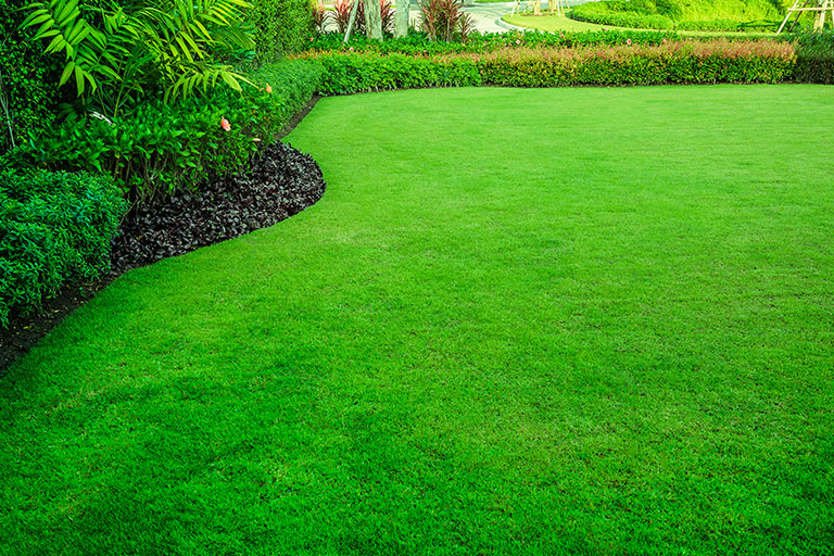Picture of a healthy looking lawn