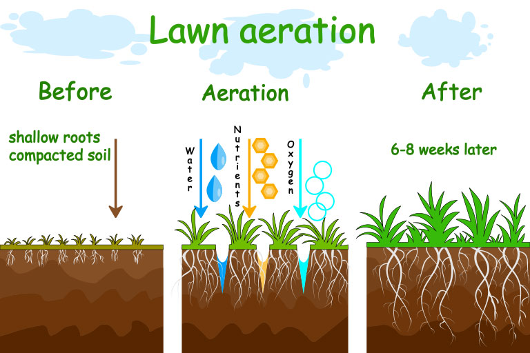 Image showing the benefits of lawn aeration