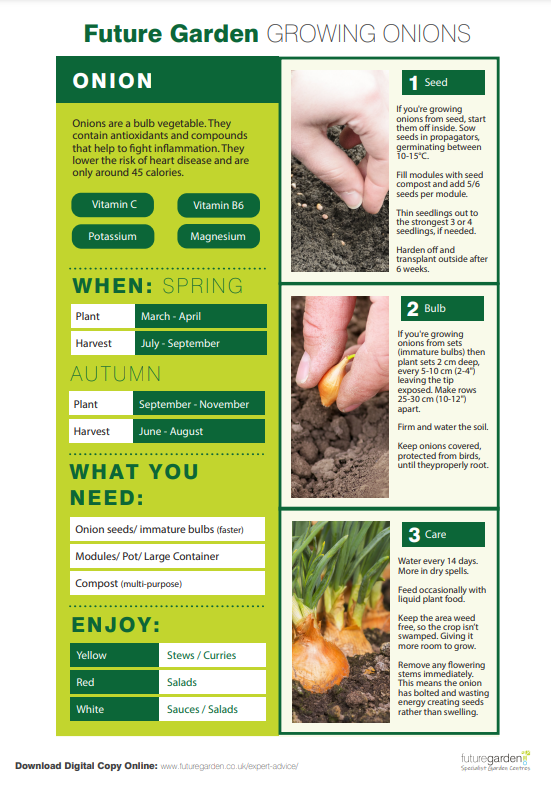 Planting guide to show sowing onions from seed or sets
