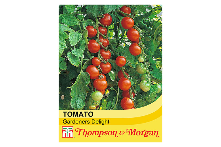 Thompson & Morgan Tomato Seed pack Gardeners Delight