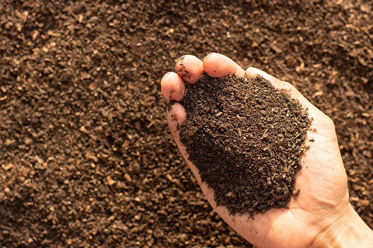 Man holding a handful of dry, improved soil