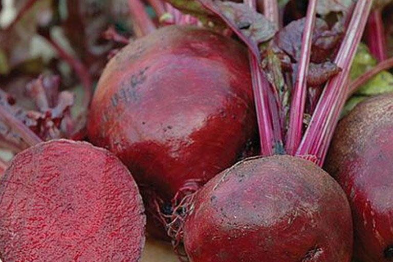 Fresh beetroot sitting on the ground after being picked