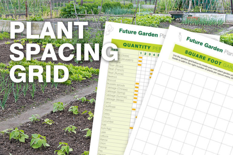 Free plant spacing guide download from Future Garden
